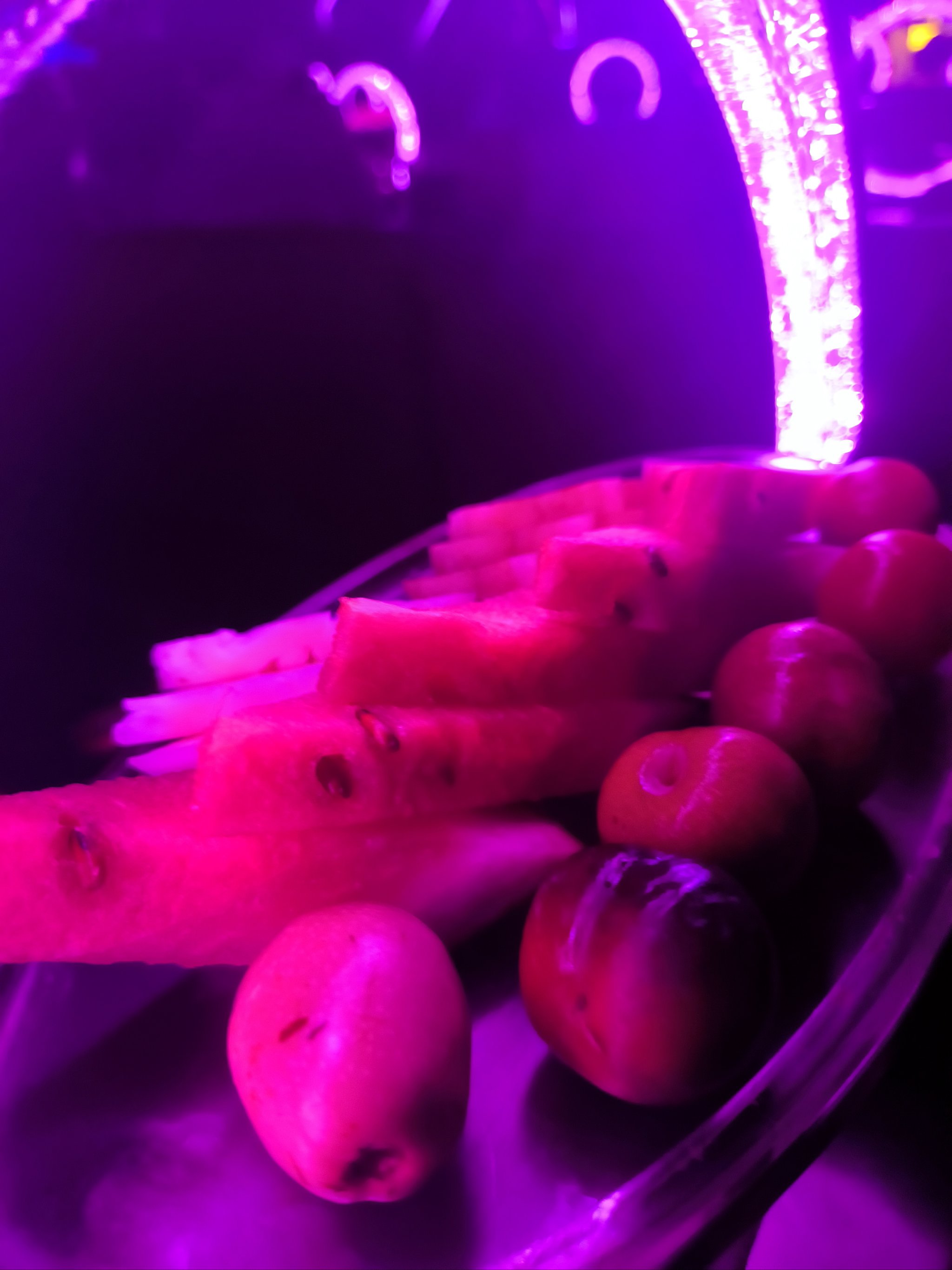 上海商务ktv夜场商务ktv宣传精选-杨浦区ktv预定